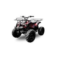 Fx 125 Thunder (125Cc)