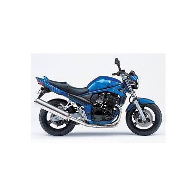 Gsf600 (600Cc)