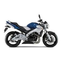 Gsr600 (600Cc)