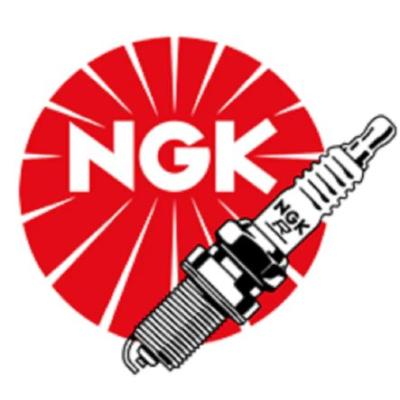Ngk Iridium Buji GR9DI-8 ROTAX