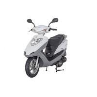 Nt Turkuaz 100 (100Cc)