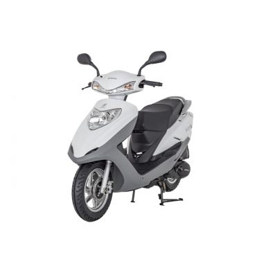 Nt Turkuaz 100 (100Cc)