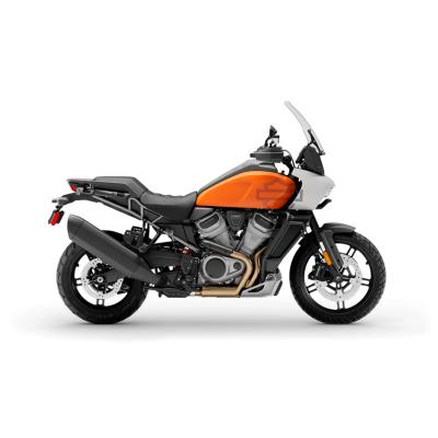 Pan America Enduro (1250Cc)