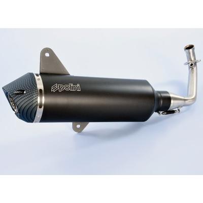 Polini Egzoz Vespa Gts 300 Euro5 2020 Inox+Carbon