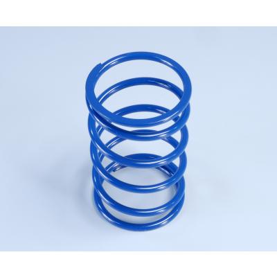 Polini  Spring For Piaggio 50040