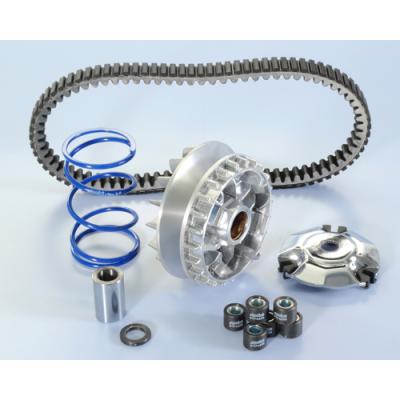 Polini  Variator Piaggio Vespa