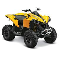 Renegade 1000 (1000Cc)