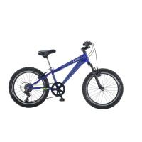 Salcano Lion 20 V Fren Çocuk Bisikleti