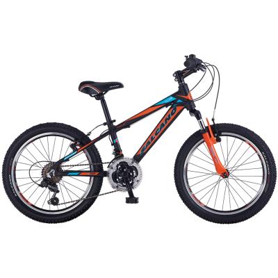 Salcano Ng750 20 Jant Vitesli Erkek Çocuk Bisikleti (120145 Cm Boy)