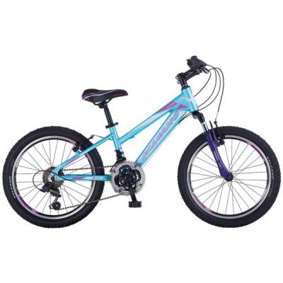 Salcano Ng750 20 Jant Vitesli Kız Çocuk Bisikleti (120145 Cm Boy)