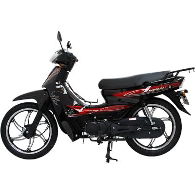 Sfc Snappy X (100Cc)