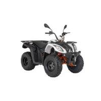 Terra Lander 200 (200Cc)
