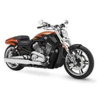 Vrscf VRod Muscle (1250Cc)